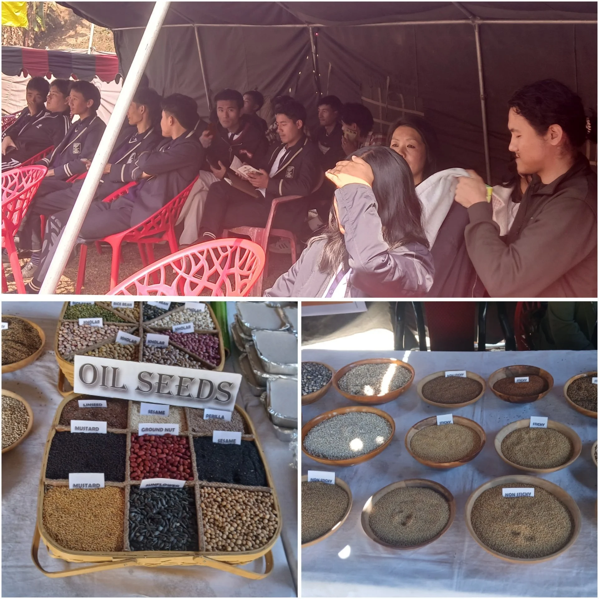 MEGA MILLET FESTIVAL ORGANISED BY 12 ASSAM RIFLES, MOKOKCHUNG